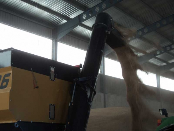 Bulk material trailer Gili