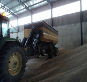 Bulk material trailer Gili