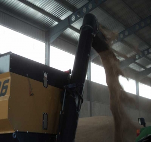 Bulk material trailer Gili