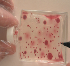 Набір для тестування мікробіологічного забруднення MICROBMONITOR2 Aljac Fuelling